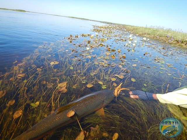 PIRA LODGE - Pantanal Argentino - Temporada 2.016